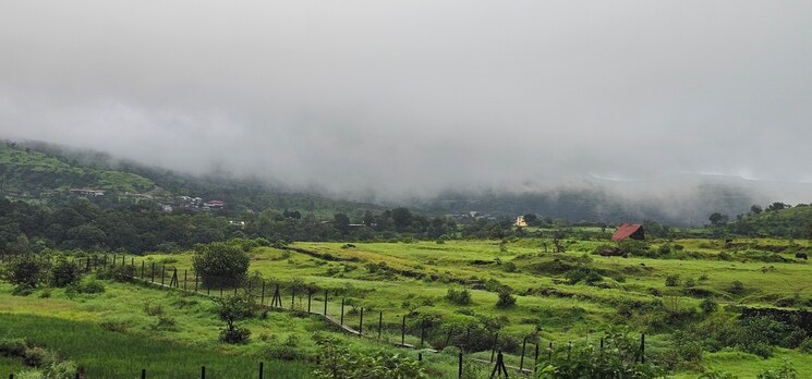 undefined, igatpuri  2100 Sq.Yd. Plot In Igatpuri Nashik 9261468