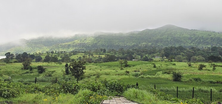 undefined, igatpuri  2100 Sq.Yd. Plot In Igatpuri Nashik 9261468