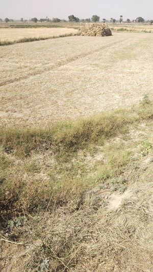  Industrial Plot For Sale in Sonipat Road