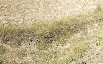 Industrial Plot For Sale in Sonipat Road