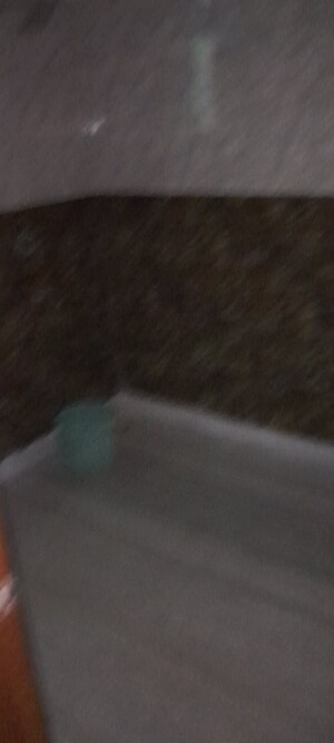 Room in 2 BHK Apartment at RWA Apartments Sector 116, Sector 116 – for Rent