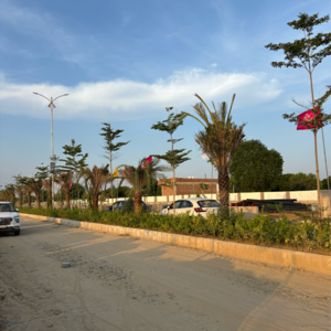  Plot – Exterior View View at Panwaliya - for Sale