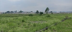 Plot Area in  Plot at Prem Nagar – for Sale