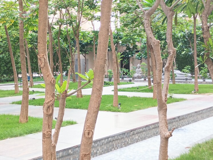 Garden, ace-divino 2 Bedroom 625 Sq.Ft. Apartment In Sector 1 Greater Noida Greater Noida 9261780