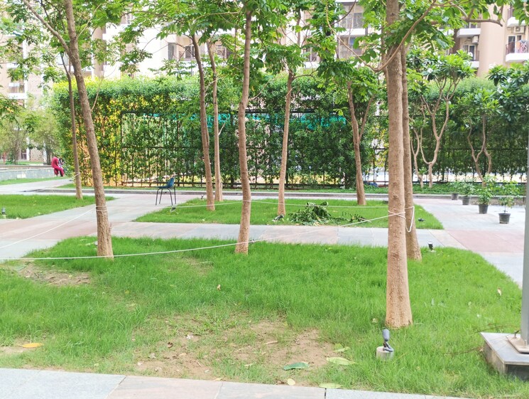 Garden, ace-divino 2 Bedroom 625 Sq.Ft. Apartment In Sector 1 Greater Noida Greater Noida 9261780