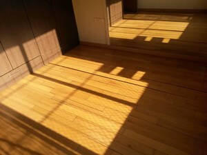  2 BHK Apartment at Gundecha Hills, Chandivali – for Rent