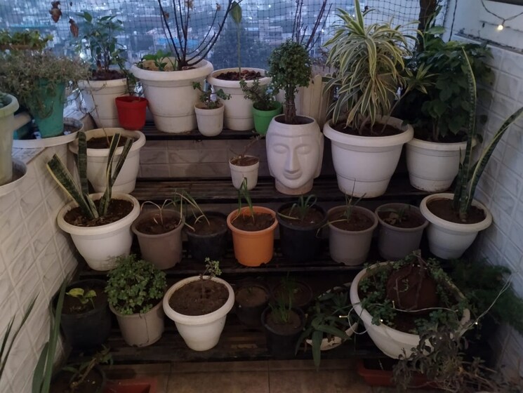 Living Room, lavender-floors 3 Bedroom 1450 Sq.Ft. Builder Floor In Sector 89 Faridabad 9261953