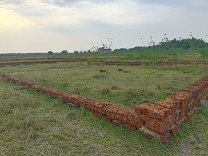  Plot For Sale in Ranopali