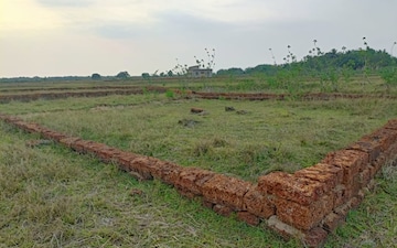 Plot For Sale in Ranopali