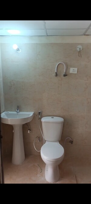 Bathroom in 2 BHK Apartment at Amrapali Terrace Homes, Tech Zone 4 Greater Noida – for Rent
