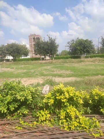 Plot Area in  Plot at Sector 78 – for Sale
