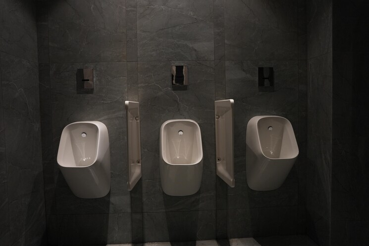 Bathroom, financial district Commercial Office Space 21000 Sq.Ft. In Financial District Hyderabad 9256695