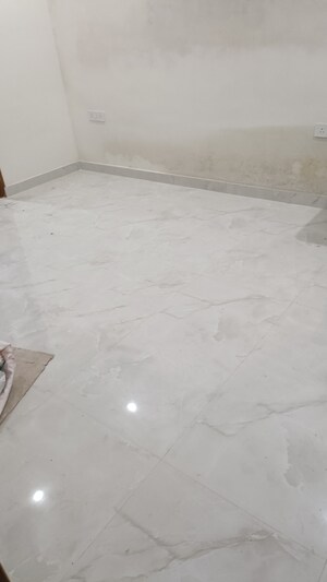 3 BHK Independent House For Rent in RWA Apartments Sector 40, Sector 40