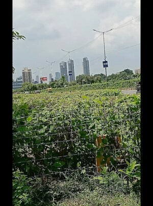 Plot Area in  Plot at Ireo City Plots, Sector 60 – for Sale