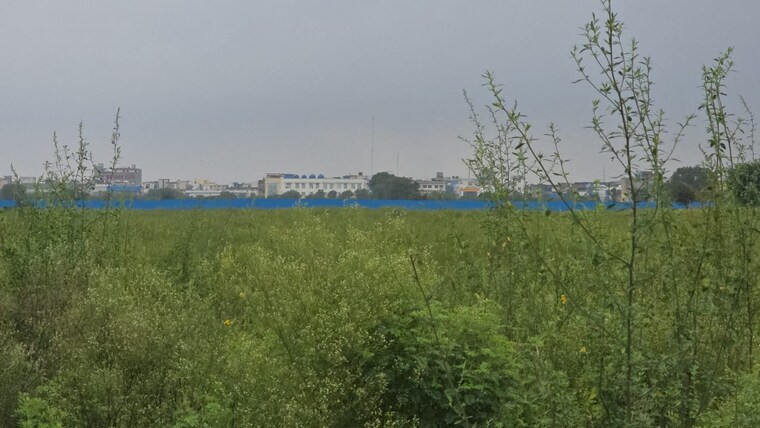 undefined, vks-palm-drive  120 Sq.Yd. Plot In Pataudi Gurgaon 9262726