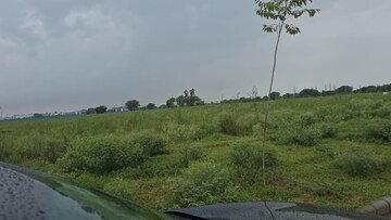 Plot Area in  Plot at VKS Palm Drive, Pataudi – for Sale