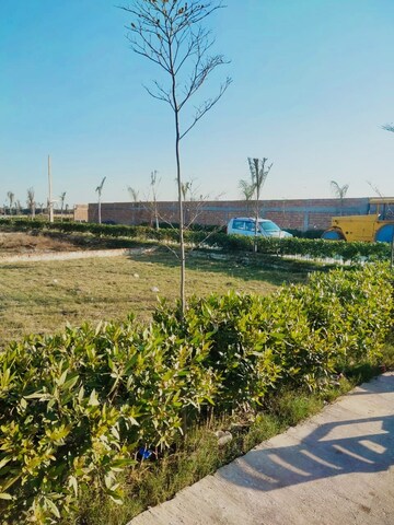 Plot Area in  Plot at VKS Palm Drive, Pataudi – for Sale