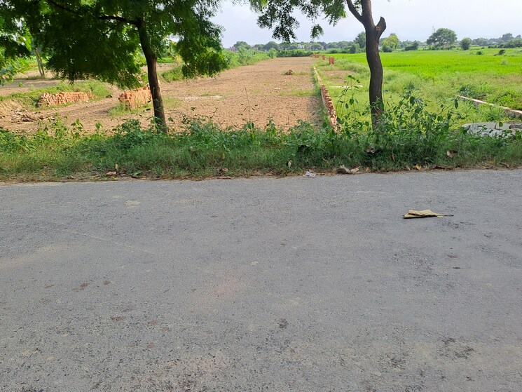 undefined, pindra  1360 Sq.Ft. Plot In Pindra Varanasi 9263004