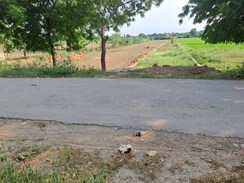 Plot For Sale in Pindra