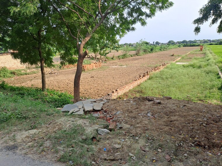 undefined, pindra  1360 Sq.Ft. Plot In Pindra Varanasi 9263004