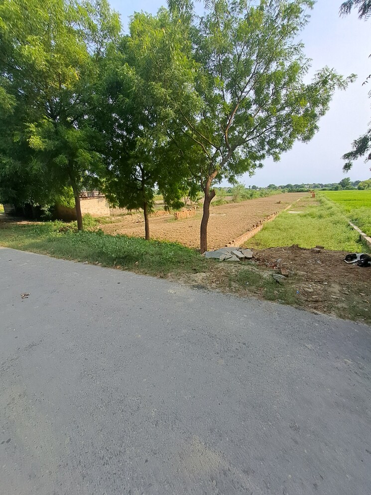 Garden, pindra  1360 Sq.Ft. Plot In Pindra Varanasi 9263004