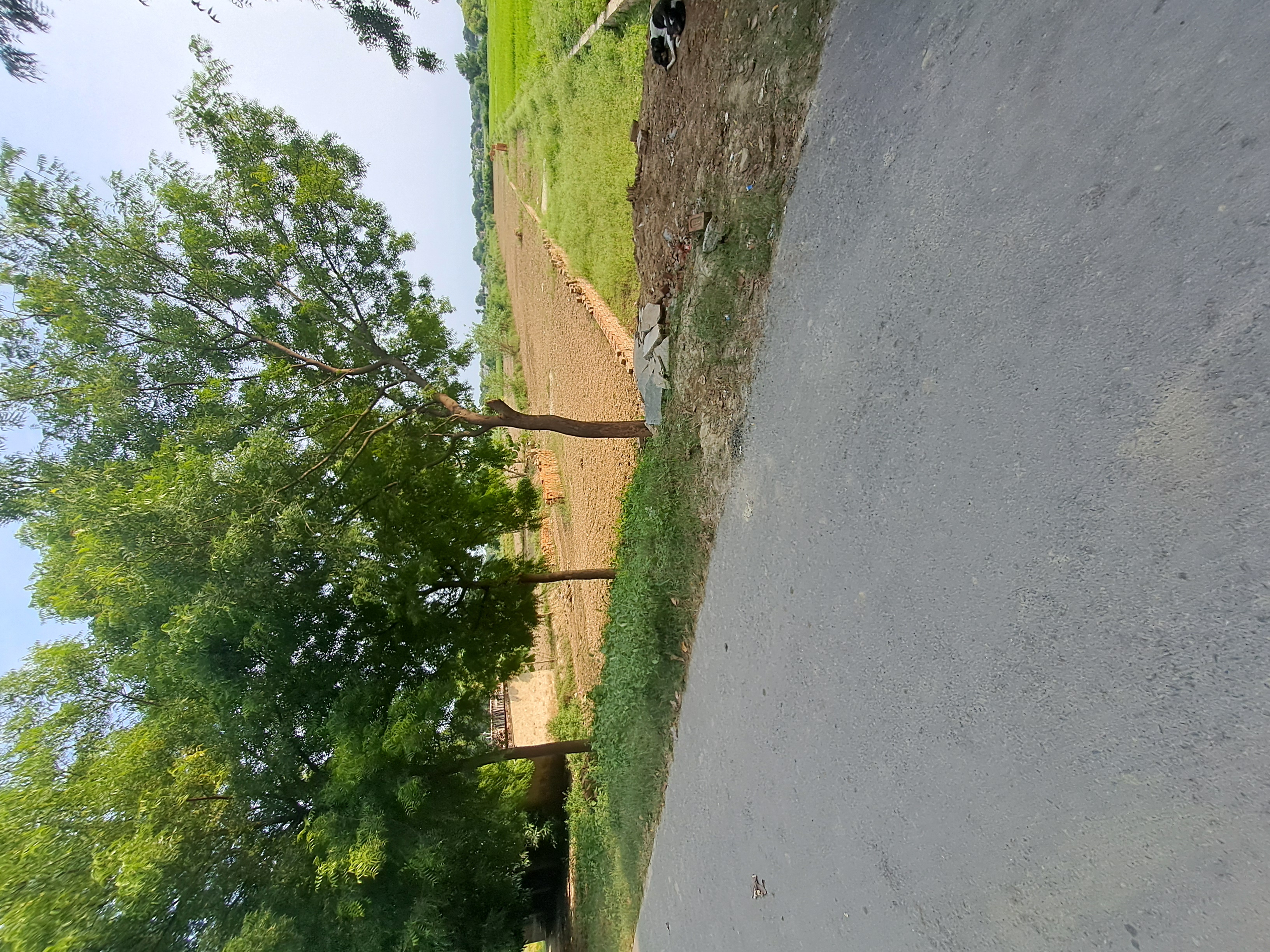 Garden, pindra  1360 Sq.Ft. Plot In Pindra Varanasi 9263004