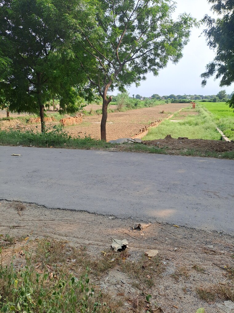 Garden, pindra  1360 Sq.Ft. Plot In Pindra Varanasi 9263004