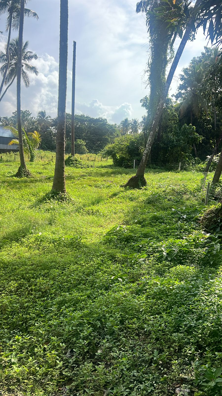 Plot For Sale in Cheroor