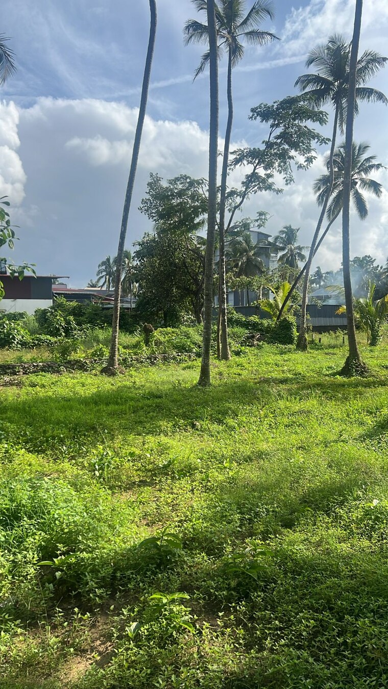 undefined, cheroor  7405 Sq.Ft. Plot In Cheroor Thrissur 9262967