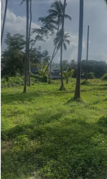 Plot Area in  Plot at Cheroor – for Sale