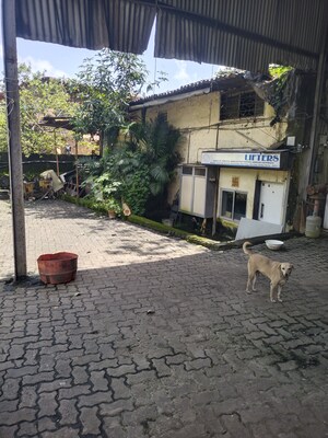  Industrial Plot – Exterior View View at Chembur - for Rent