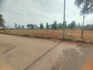 Plot Area in  Plot at Hoskote – for Sale
