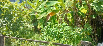 Plot Area in  Plot at West Fort – for Sale