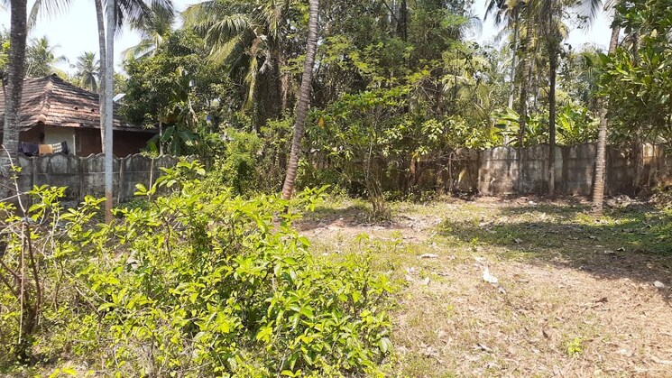 Garden, mukkattukara  4356 Sq.Ft. Plot In Mukkattukara Thrissur 9264383