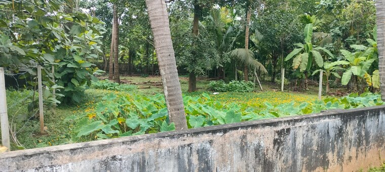 undefined, mukkattukara  4356 Sq.Ft. Plot In Mukkattukara Thrissur 9264383