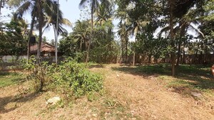 Plot Area in  Plot at Mukkattukara – for Sale