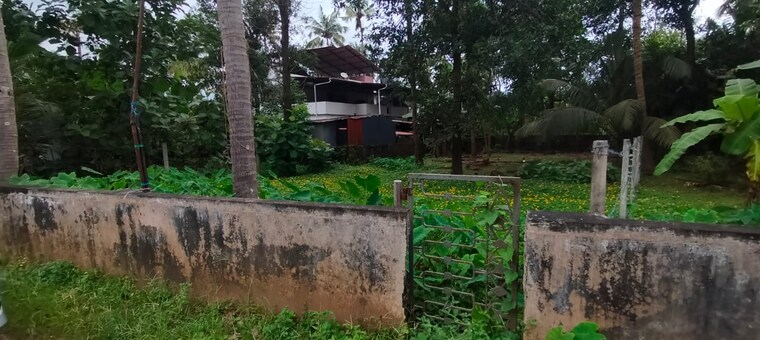 Exterior View, mukkattukara  4356 Sq.Ft. Plot In Mukkattukara Thrissur 9264383