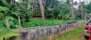  Plot – Garden View at Mukkattukara - for Sale