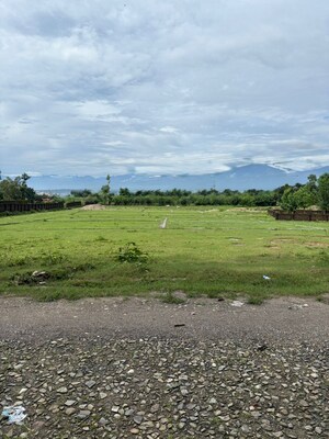 Plot Area in  Plot at Sherpur – for Sale