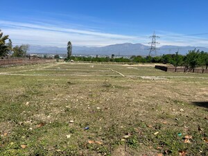 Plot Area in  Plot at Sherpur – for Sale