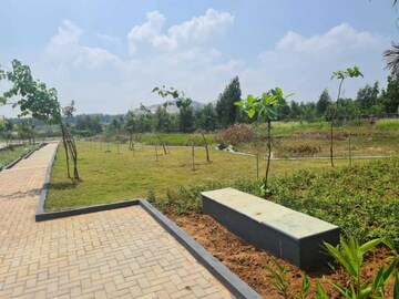 Plot Area in  Plot at Bellary Road – for Sale