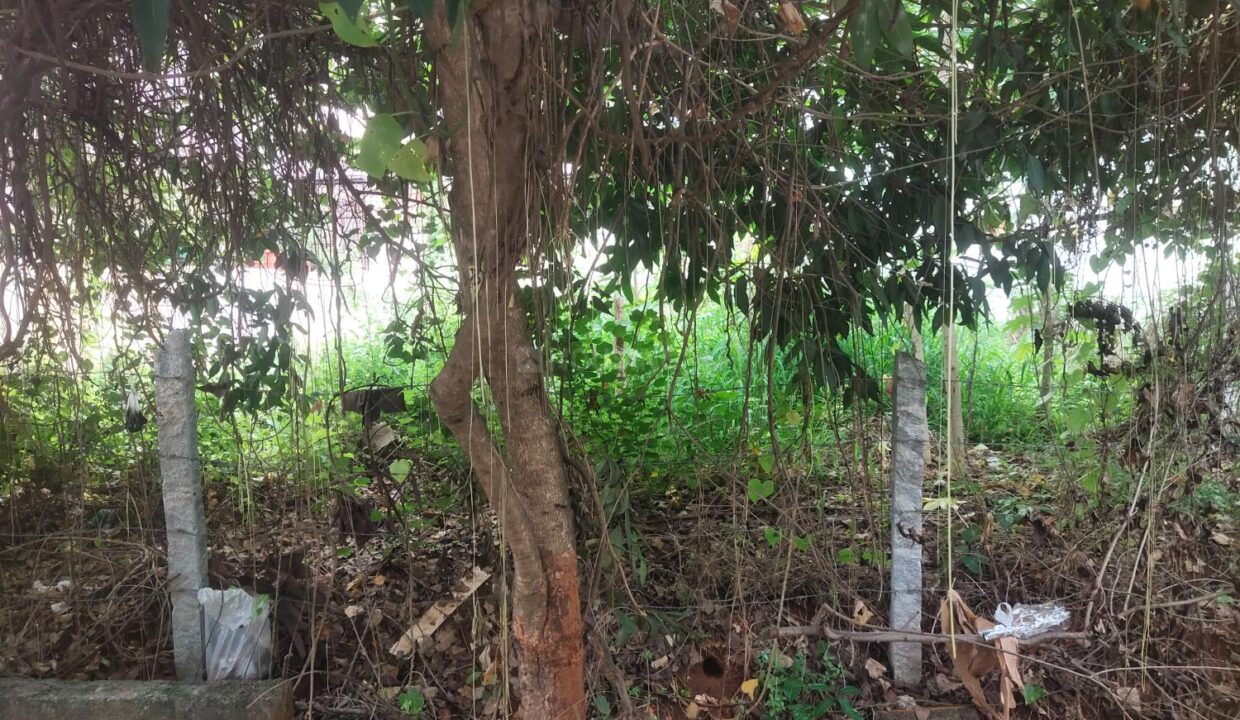 Plot For Sale in Hebbal