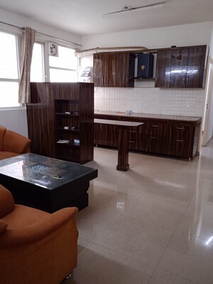 Living Room in 2 BHK Apartment at Tulip Lemon, Sector 69 – for Rent