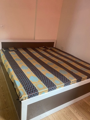 2 BHK Apartment For Rent in Tulip Lemon, Sector 69