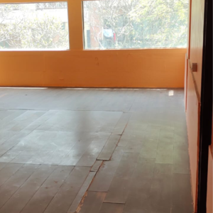 Room in 3 BHK Builder Floor at Hauz Khas – for Rent