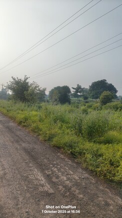 Plot For Sale in D R Estate 