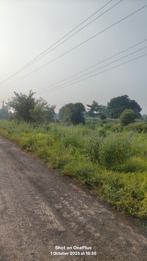  Plot For Sale in Sector 2