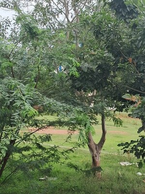  Plot – Exterior View View at Navalur - for Sale