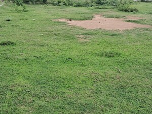  Plot For Sale in Navalur