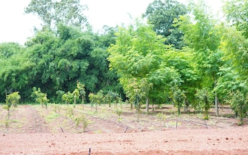 Land For Sale in Kollur